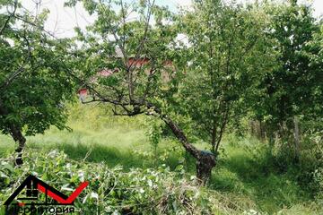 Ведение садоводства, 4,9 сот.